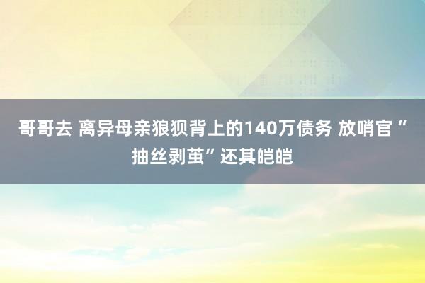 哥哥去 离异母亲狼狈背上的140万债务 放哨官“抽丝剥茧”还其皑皑