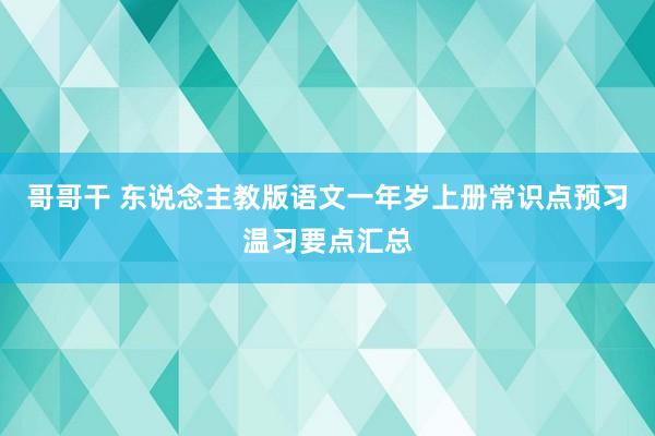 哥哥干 东说念主教版语文一年岁上册常识点预习温习要点汇总