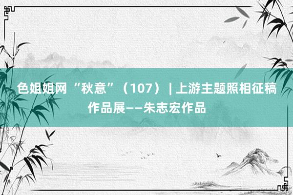 色姐姐网 “秋意”（107） | 上游主题照相征稿作品展——朱志宏作品