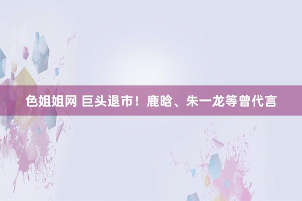 色姐姐网 巨头退市！鹿晗、朱一龙等曾代言