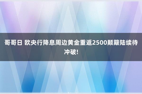 哥哥日 欧央行降息周边黄金重返2500颠簸陆续待冲破!