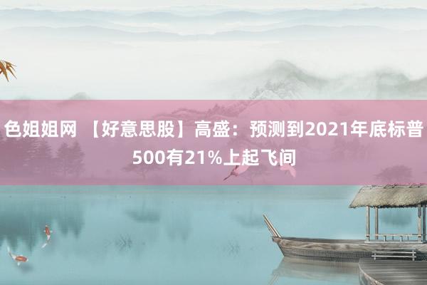 色姐姐网 【好意思股】高盛：预测到2021年底标普500有21%上起飞间