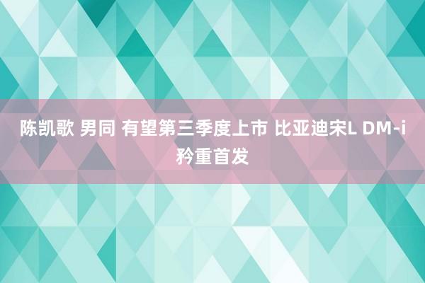 陈凯歌 男同 有望第三季度上市 比亚迪宋L DM-i矜重首发