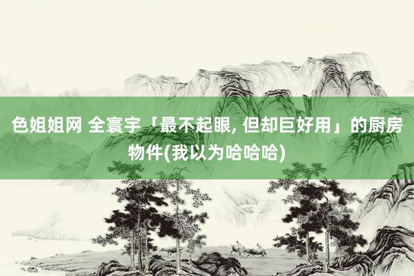 色姐姐网 全寰宇「最不起眼， 但却巨好用」的厨房物件(我以为哈哈哈)