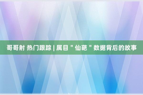 哥哥射 热门跟踪 | 属目＂仙葩＂数据背后的故事