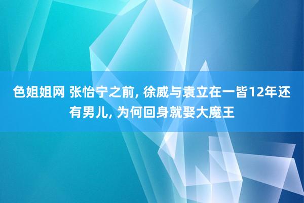 色姐姐网 张怡宁之前， 徐威与袁立在一皆12年还有男儿， 为何回身就娶大魔王