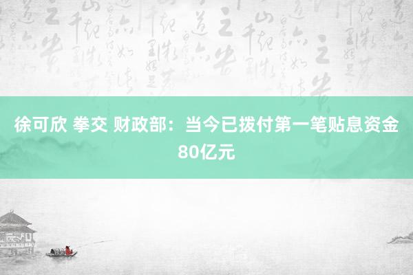 徐可欣 拳交 财政部：当今已拨付第一笔贴息资金80亿元