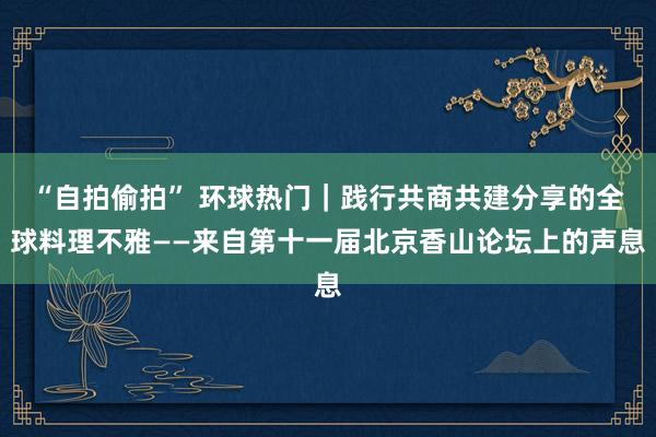 “自拍偷拍” 环球热门｜践行共商共建分享的全球料理不雅——来自第十一届北京香山论坛上的声息