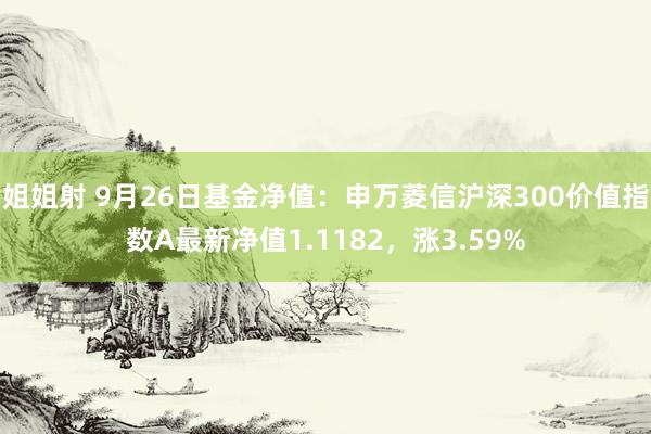 姐姐射 9月26日基金净值：申万菱信沪深300价值指数A最新净值1.1182，涨3.59%