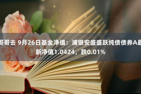 哥哥去 9月26日基金净值：浦银安盛盛跃纯债债券A最新净值1.0424，跌0.01%