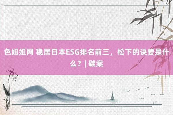 色姐姐网 稳居日本ESG排名前三，松下的诀要是什么？| 碳案