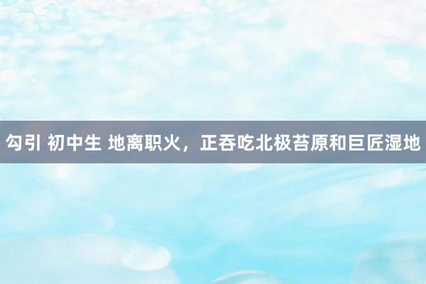 勾引 初中生 地离职火，正吞吃北极苔原和巨匠湿地