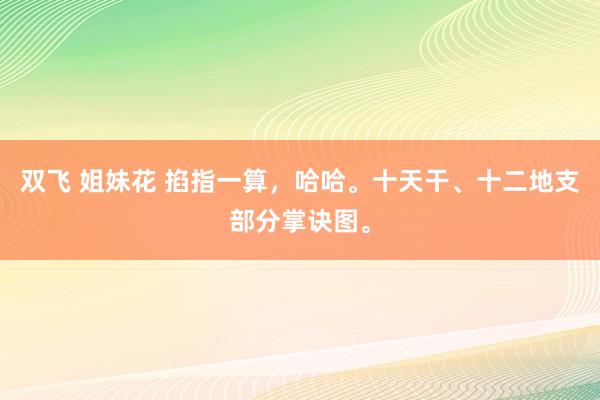 双飞 姐妹花 掐指一算，哈哈。十天干、十二地支部分掌诀图。