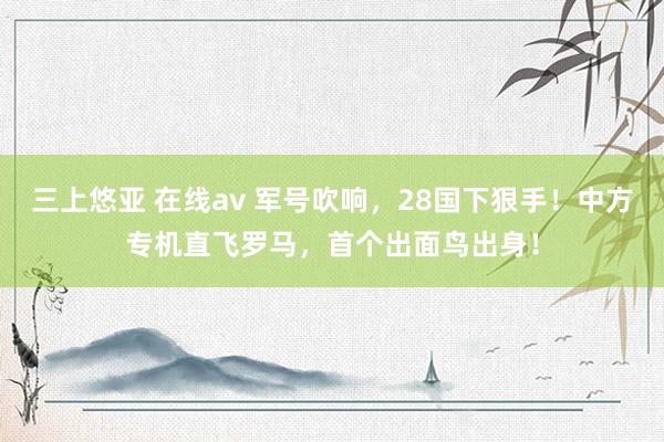 三上悠亚 在线av 军号吹响，28国下狠手！中方专机直飞罗马，首个出面鸟出身！