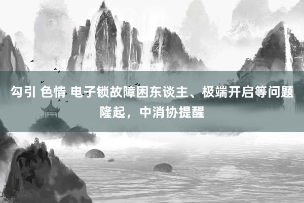 勾引 色情 电子锁故障困东谈主、极端开启等问题隆起，中消协提醒