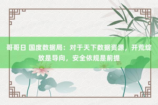 哥哥日 国度数据局：对于天下数据资源，开荒绽放是导向，安全依规是前提