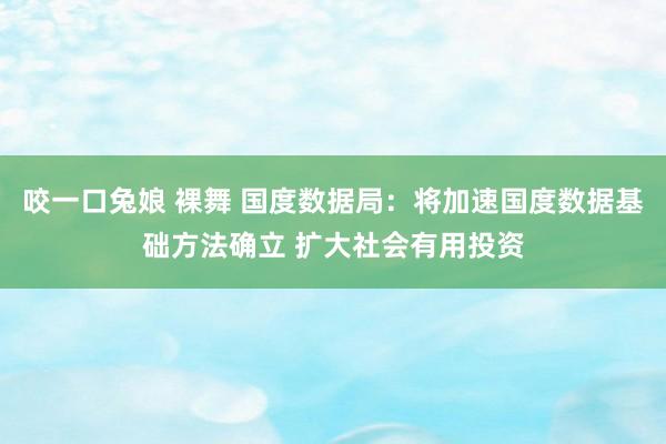 咬一口兔娘 裸舞 国度数据局：将加速国度数据基础方法确立 扩大社会有用投资