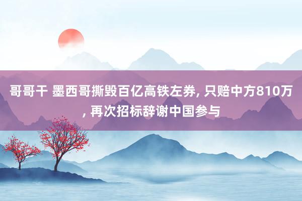 哥哥干 墨西哥撕毁百亿高铁左券， 只赔中方810万， 再次招标辞谢中国参与