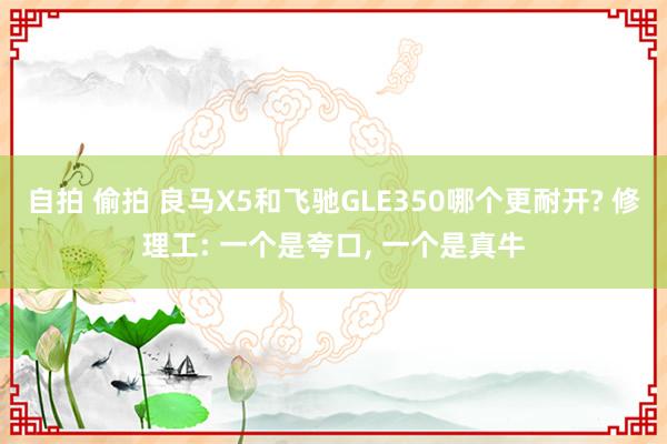 自拍 偷拍 良马X5和飞驰GLE350哪个更耐开? 修理工: 一个是夸口， 一个是真牛