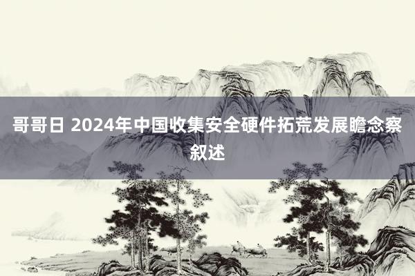 哥哥日 2024年中国收集安全硬件拓荒发展瞻念察叙述