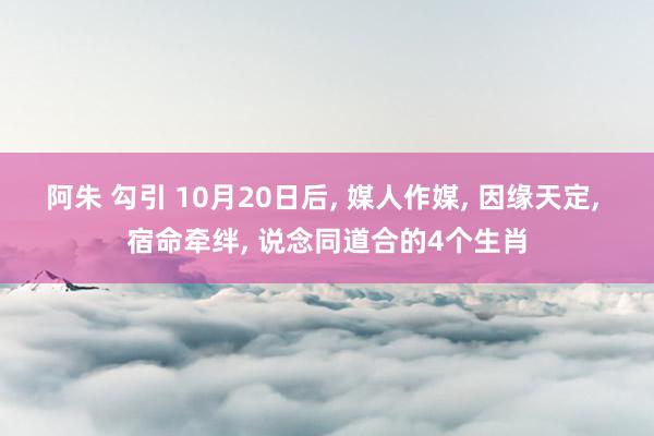 阿朱 勾引 10月20日后， 媒人作媒， 因缘天定， 宿命牵绊， 说念同道合的4个生肖