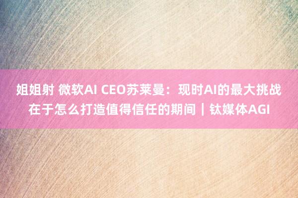 姐姐射 微软AI CEO苏莱曼：现时AI的最大挑战在于怎么打造值得信任的期间｜钛媒体AGI