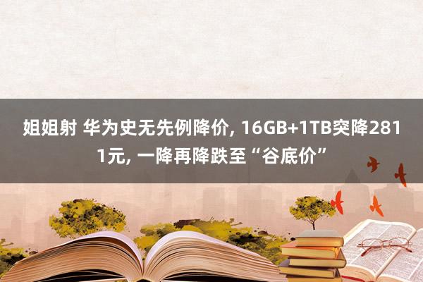 姐姐射 华为史无先例降价， 16GB+1TB突降2811元， 一降再降跌至“谷底价”