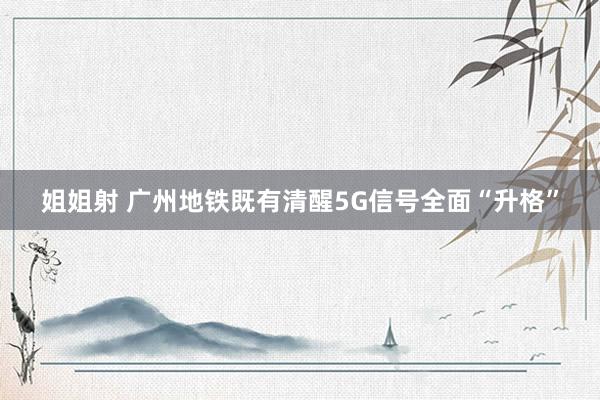 姐姐射 广州地铁既有清醒5G信号全面“升格”