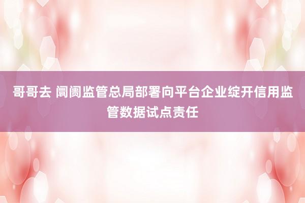 哥哥去 阛阓监管总局部署向平台企业绽开信用监管数据试点责任