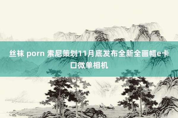 丝袜 porn 索尼策划11月底发布全新全画幅e卡口微单相机