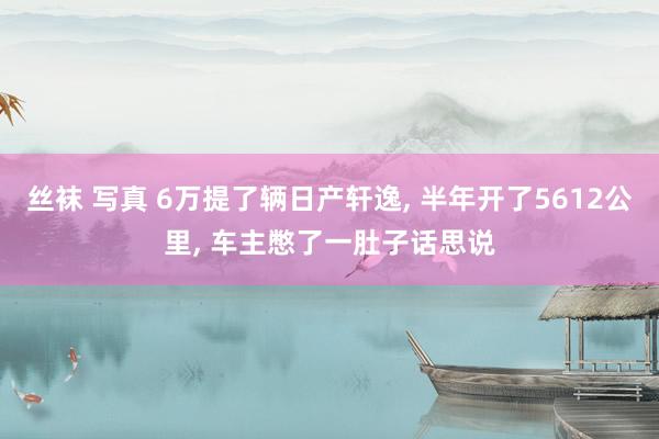 丝袜 写真 6万提了辆日产轩逸， 半年开了5612公里， 车主憋了一肚子话思说