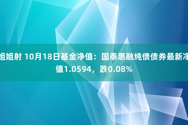 姐姐射 10月18日基金净值：国泰惠融纯债债券最新净值1.0594，跌0.08%