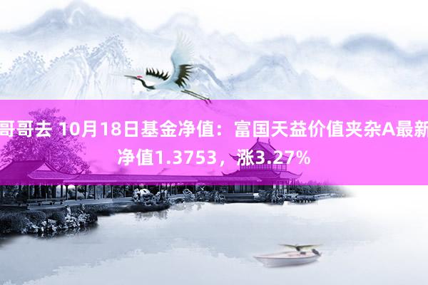 哥哥去 10月18日基金净值：富国天益价值夹杂A最新净值1.3753，涨3.27%