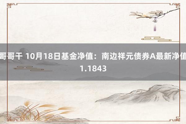 哥哥干 10月18日基金净值：南边祥元债券A最新净值1.1843