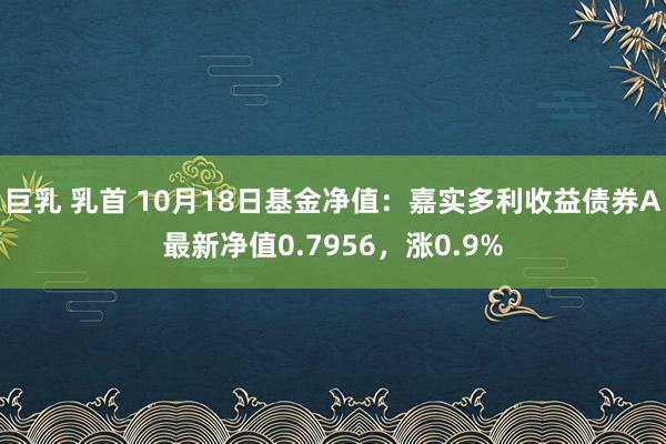 巨乳 乳首 10月18日基金净值：嘉实多利收益债券A最新净值0.7956，涨0.9%