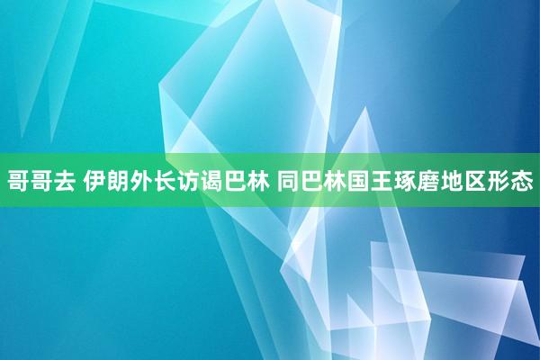 哥哥去 伊朗外长访谒巴林 同巴林国王琢磨地区形态