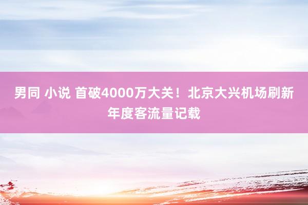 男同 小说 首破4000万大关！北京大兴机场刷新年度客流量记载