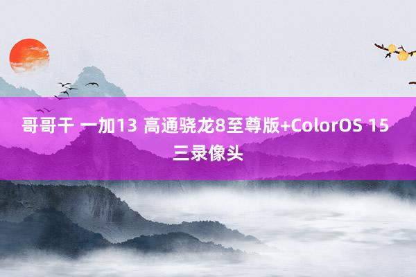 哥哥干 一加13 高通骁龙8至尊版+ColorOS 15 三录像头