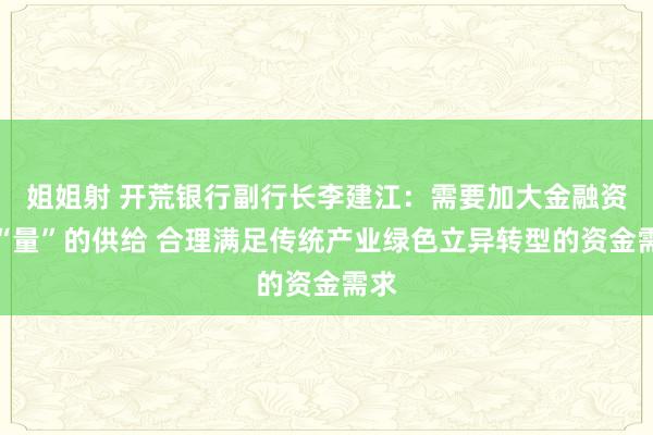 姐姐射 开荒银行副行长李建江：需要加大金融资源“量”的供给 合理满足传统产业绿色立异转型的资金需求