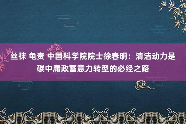 丝袜 龟责 中国科学院院士徐春明：清洁动力是碳中庸政蓄意力转型的必经之路