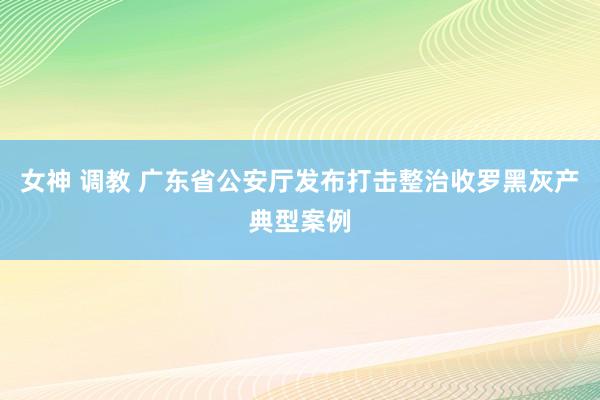 女神 调教 广东省公安厅发布打击整治收罗黑灰产典型案例