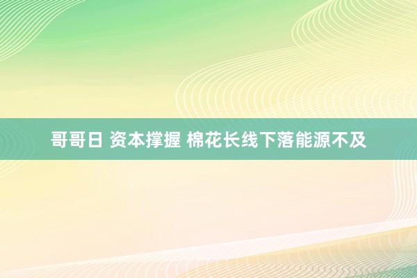 哥哥日 资本撑握 棉花长线下落能源不及