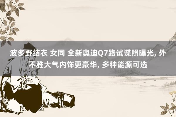 波多野结衣 女同 全新奥迪Q7路试谍照曝光， 外不雅大气内饰更豪华， 多种能源可选