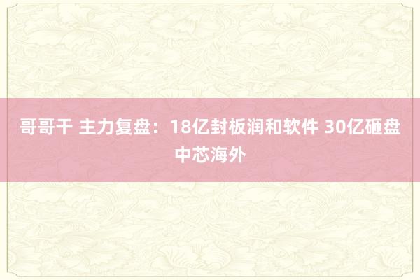 哥哥干 主力复盘：18亿封板润和软件 30亿砸盘中芯海外