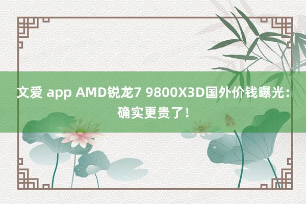 文爱 app AMD锐龙7 9800X3D国外价钱曝光：确实更贵了！