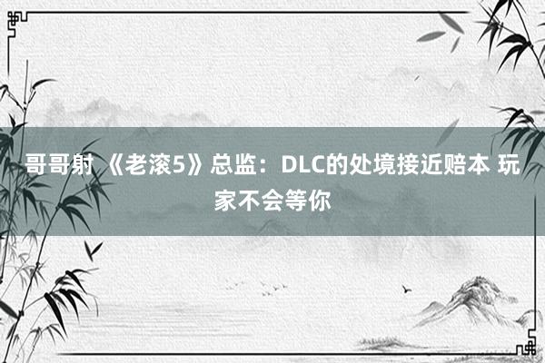 哥哥射 《老滚5》总监：DLC的处境接近赔本 玩家不会等你