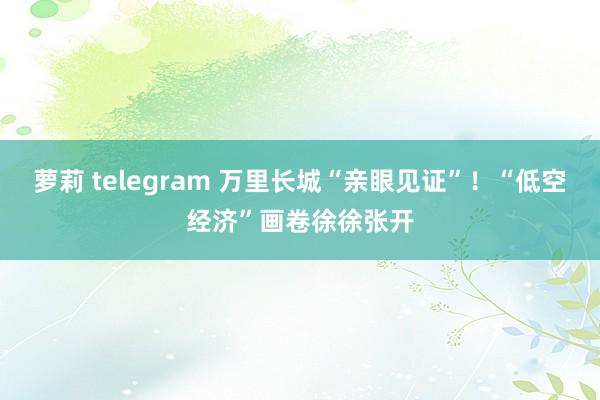 萝莉 telegram 万里长城“亲眼见证”！“低空经济”画卷徐徐张开