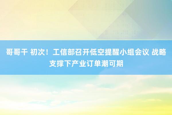 哥哥干 初次！工信部召开低空提醒小组会议 战略支撑下产业订单潮可期