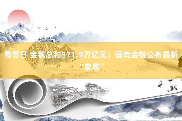 哥哥日 金钱总和371.9万亿元！国有金钱公布最新“家底”