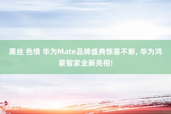 黑丝 色情 华为Mate品牌盛典惊喜不断， 华为鸿蒙智家全新亮相!